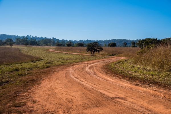 Dirt Driveway Repair in Foley