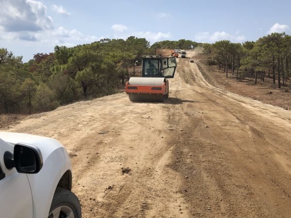 Cost of Driveway Grading in Foley