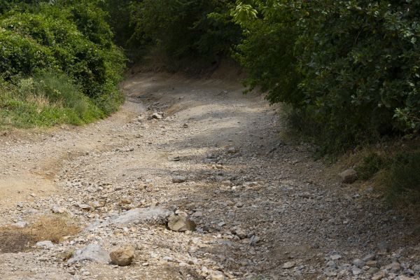 Cost of Gravel Road Pothole Repair in Foley