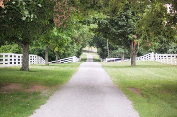 Gravel Driveway Construction in Foley