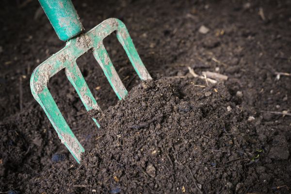 Cost of Topsoil Spreading in Foley