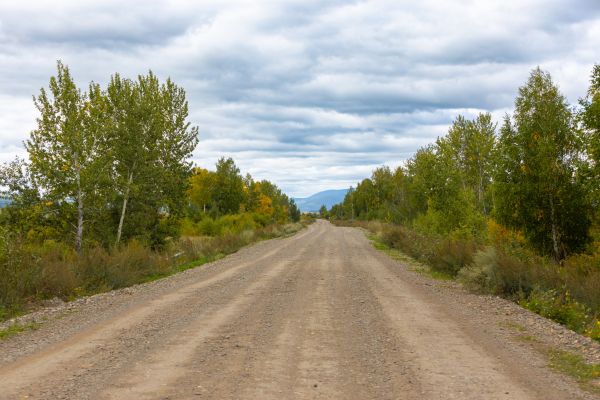 Dirt Road Repair in Foley