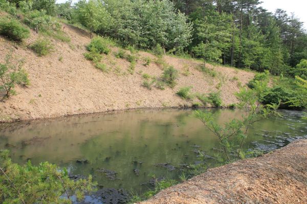 Cost of Pond Erosion Repair in Foley