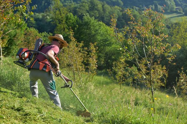 Cost of Slope Trimming in Foley